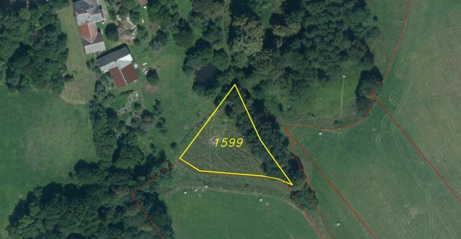 Prodej pozemku Vlčice u Javorníka, obec Vlčice, 1599