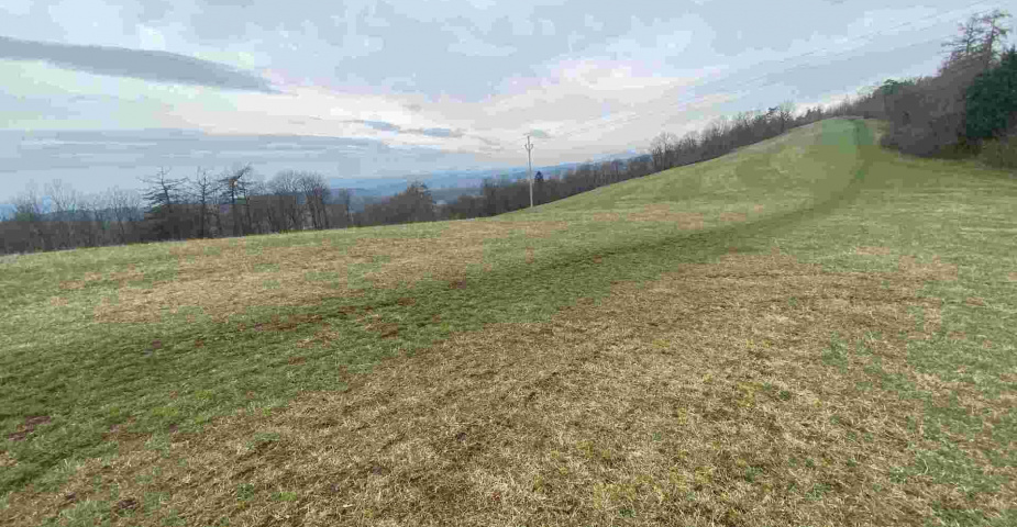 prodej pozemků k.ú Vesec pod Kozákovem