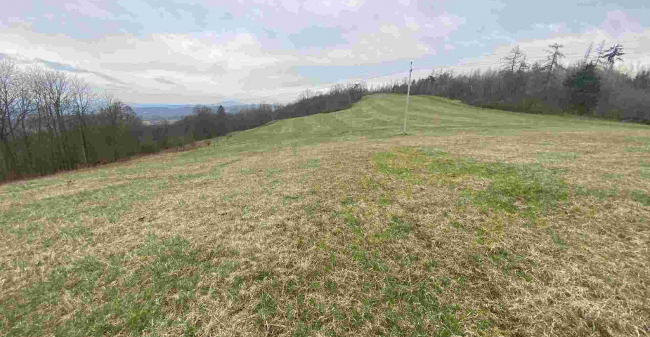 prodej pozemků k.ú Vesec pod Kozákovem