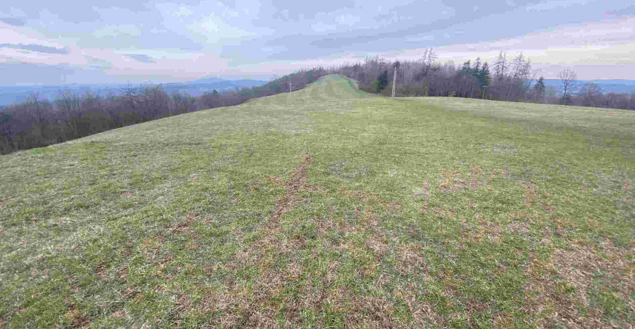 prodej pozemků k.ú Vesec pod Kozákovem
