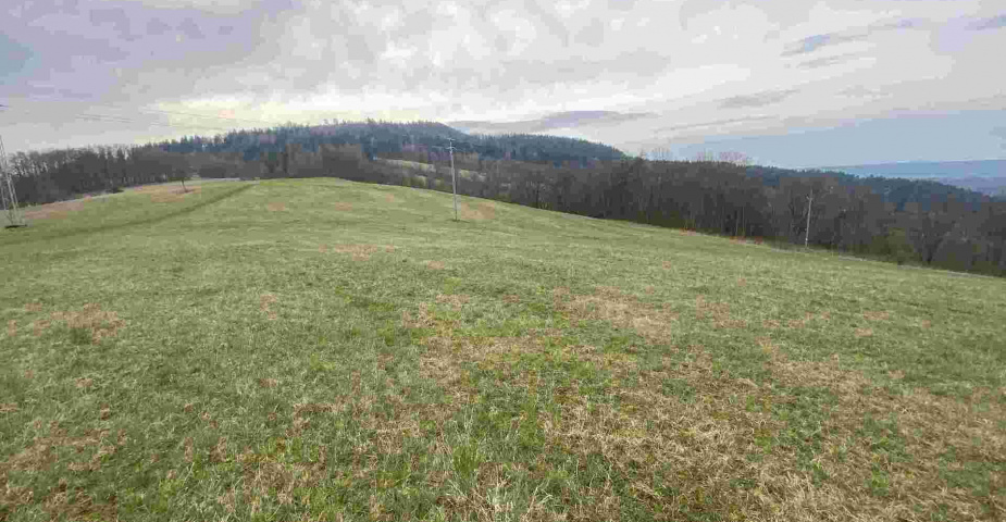 prodej pozemků k.ú Vesec pod Kozákovem