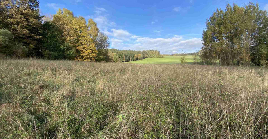 Prodej pozemků Horní Lipka