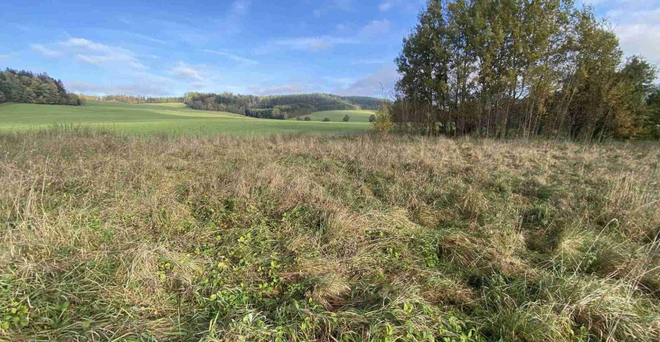 Prodej pozemků Horní Lipka