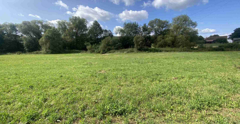 dražba pozemku k.ú. Čečovice