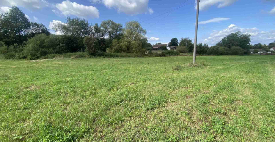 dražba pozemku k.ú. Čečovice