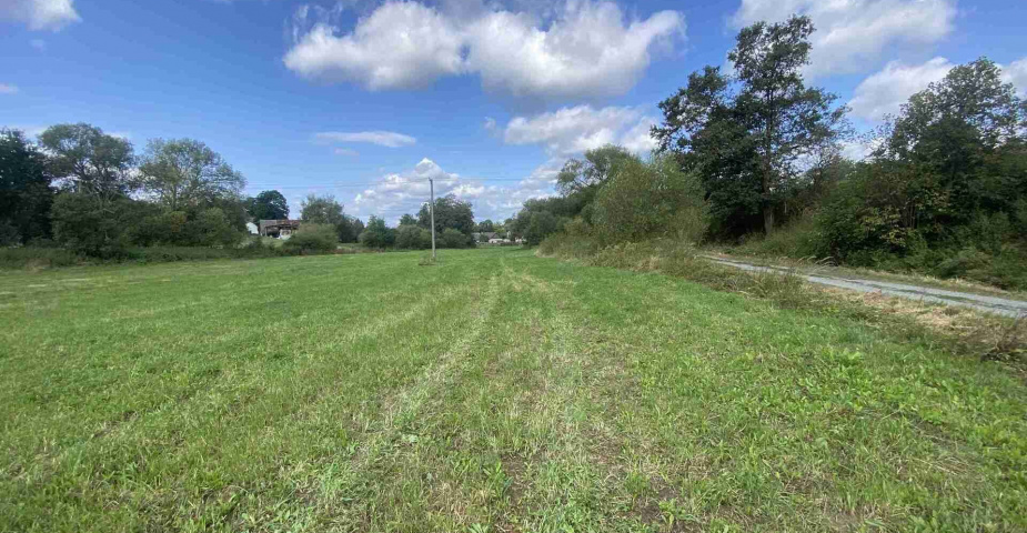 dražba pozemku k.ú. Čečovice