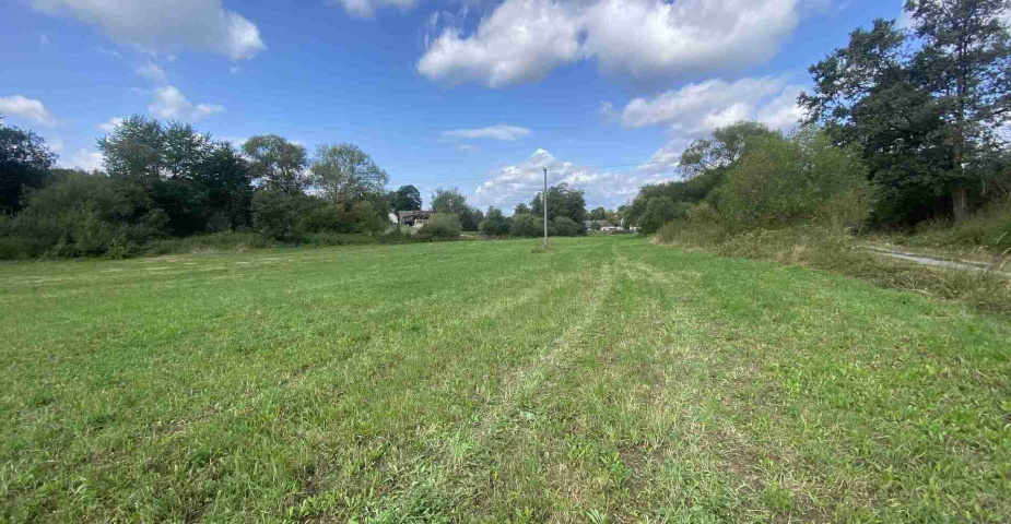 dražba pozemku k.ú. Čečovice