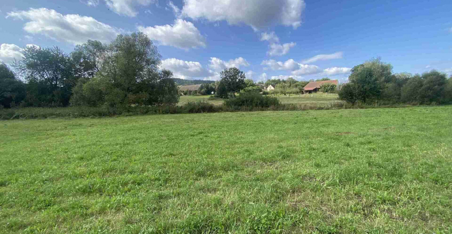 dražba pozemku k.ú. Čečovice