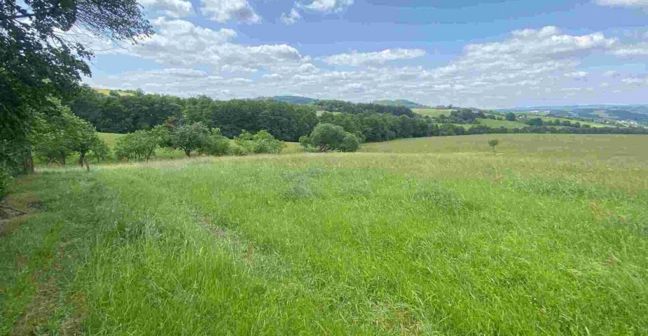 Prodej pozemku Vizovice