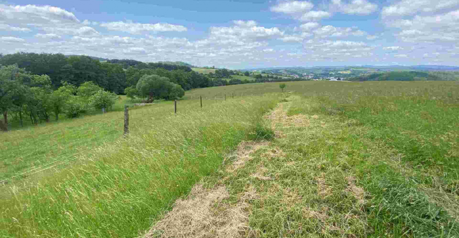 Prodej pozemku Vizovice