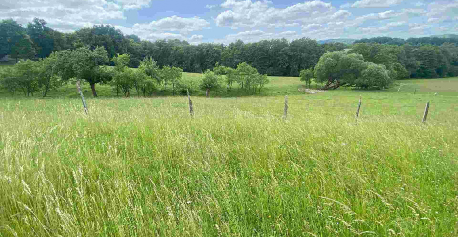 Prodej pozemku Vizovice