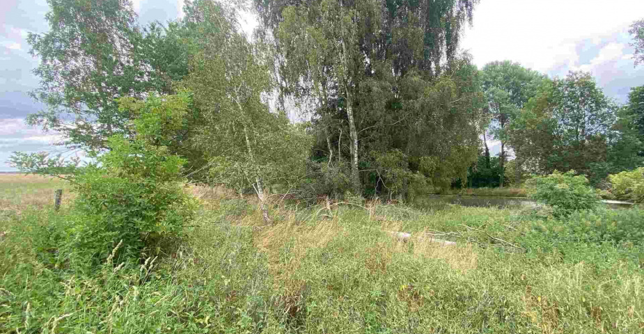 prodej pozemků Tuněchody u Stříbra