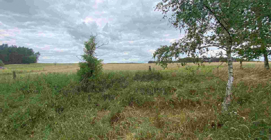 prodej pozemků Tuněchody u Stříbra