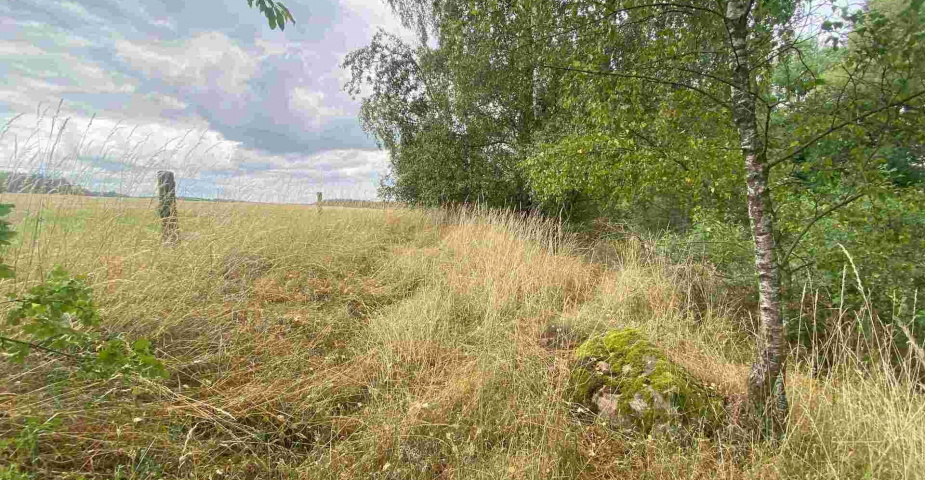 prodej pozemků Tuněchody u Stříbra