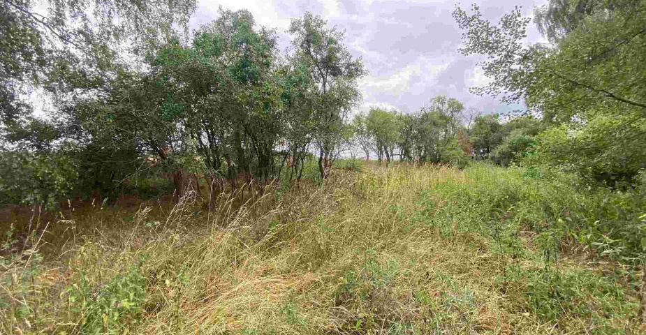 prodej pozemků Tuněchody u Stříbra