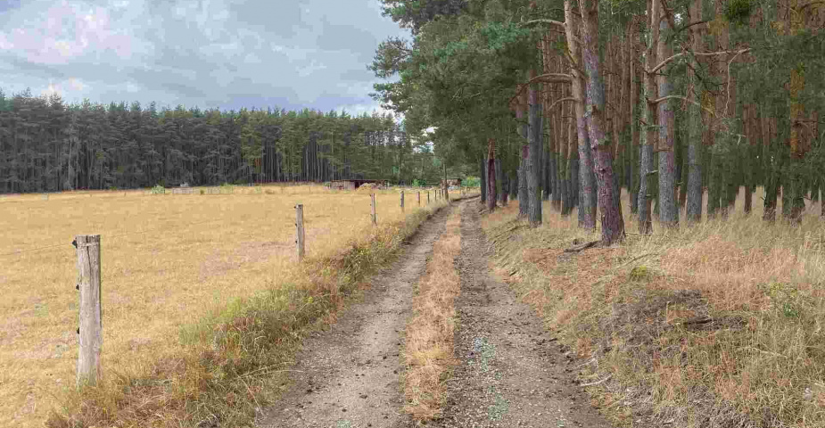 prodej pozemků Tuněchody u Stříbra