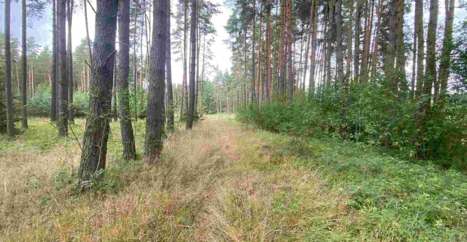 prodej pozemků Tuněchody u Stříbra