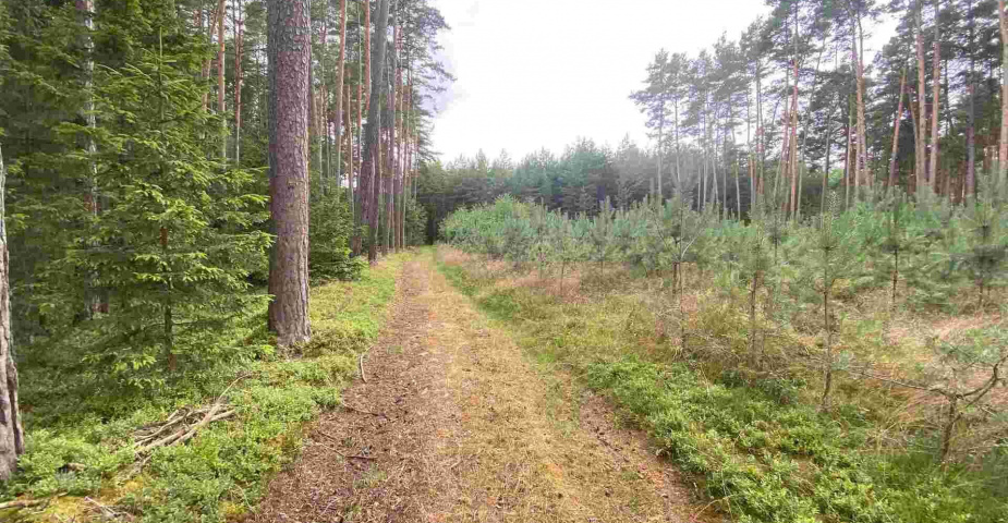 prodej pozemků Tuněchody u Stříbra