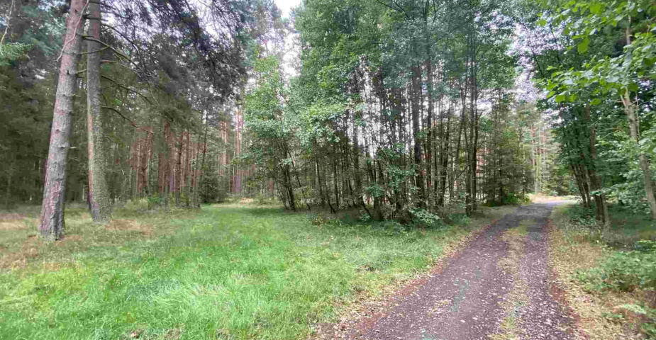 prodej pozemků Tuněchody u Stříbra