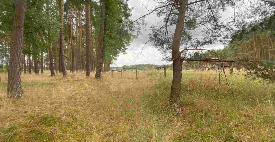 prodej pozemků Tuněchody u Stříbra