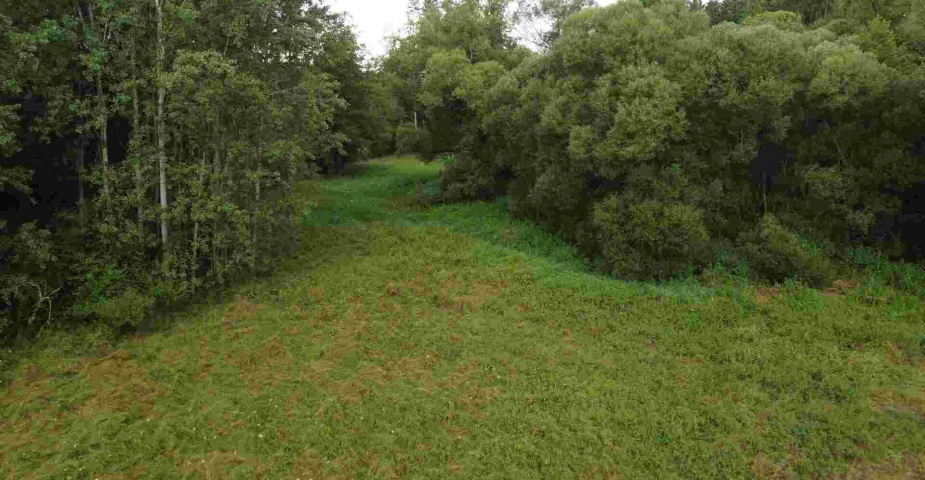 Prodej pozemku Dobronice u Chýnova