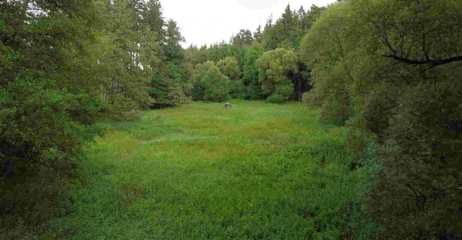 Prodej pozemku Dobronice u Chýnova