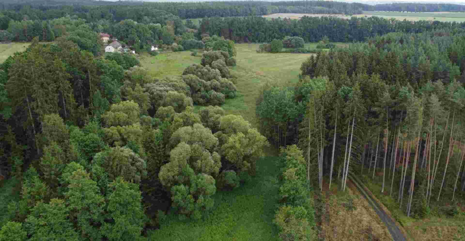 Prodej pozemku Dobronice u Chýnova