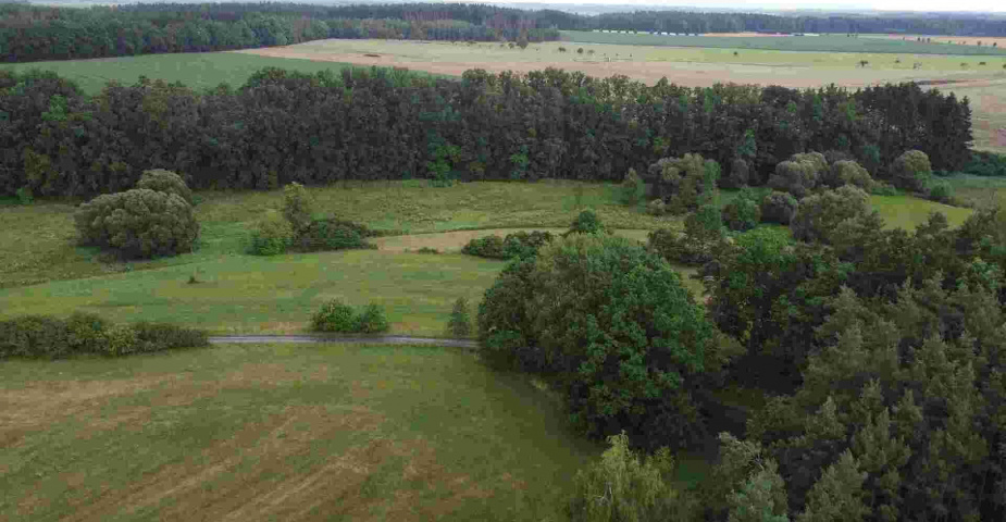 Prodej pozemku Dobronice u Chýnova