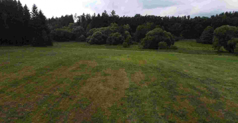 Prodej pozemku Dobronice u Chýnova