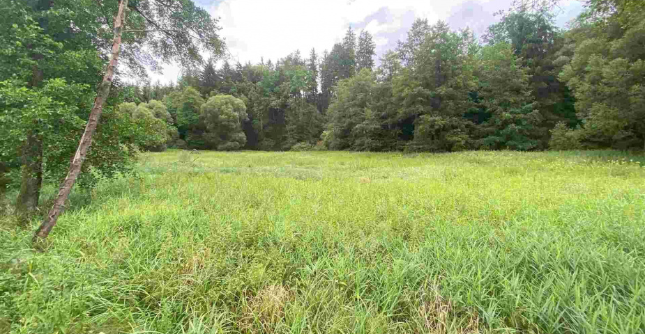 Prodej pozemku Dobronice u Chýnova