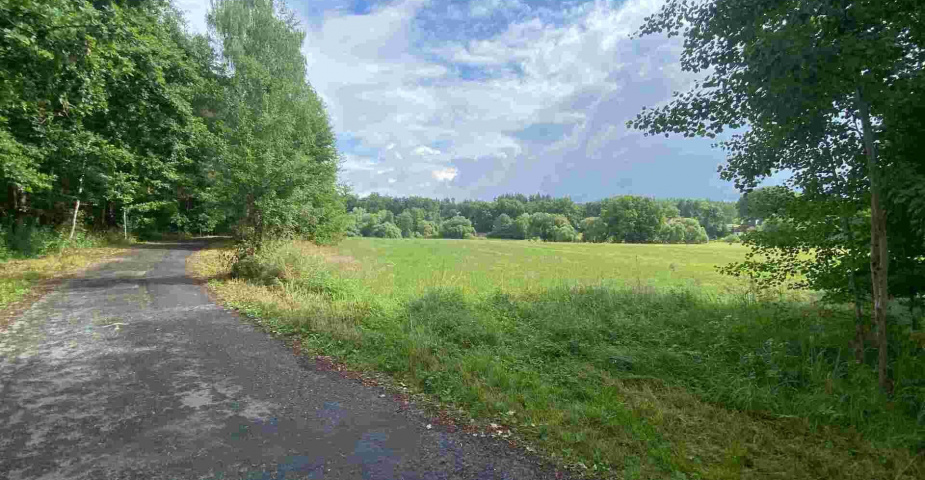 Prodej pozemku Dobronice u Chýnova