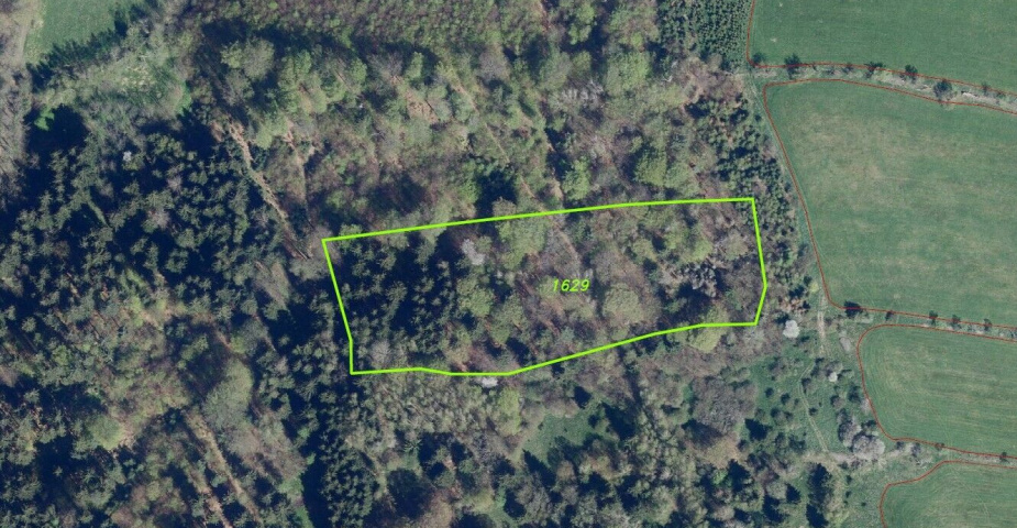 prodej pozemků k.ú. Petrovice u Chabařovic