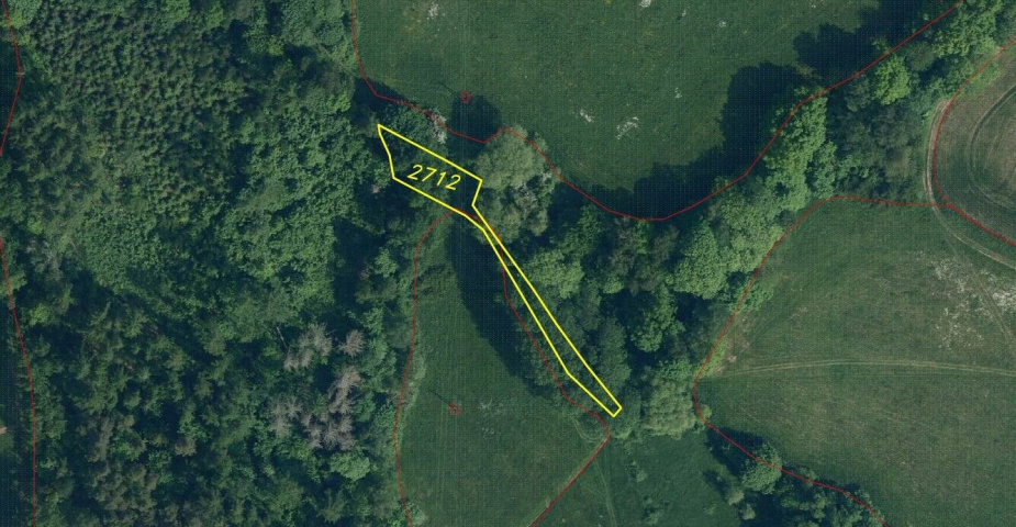 prodej pozemku k.ú. Benešov u Semil