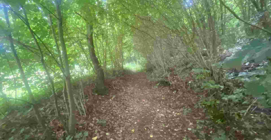 Prodej pozemku Mladkov