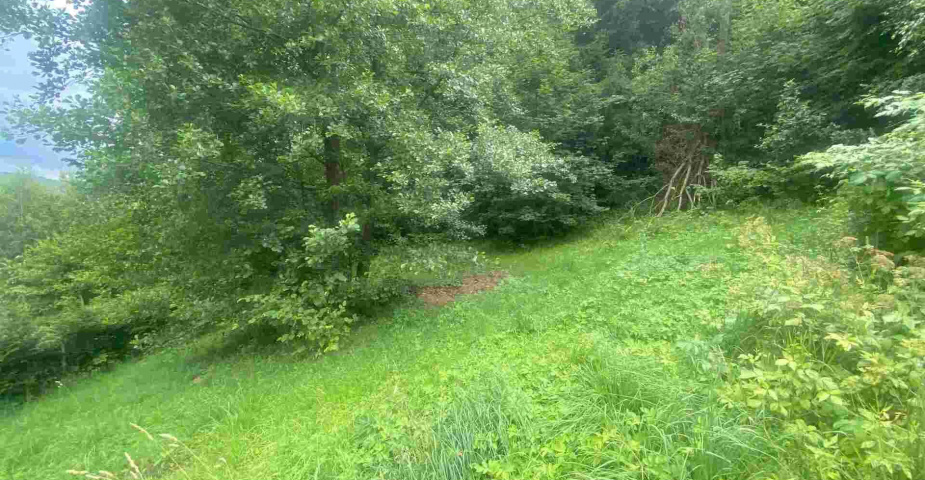 Prodej pozemku Mladkov