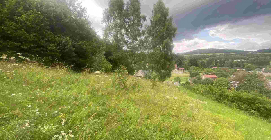 Prodej pozemku Mladkov