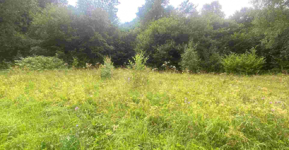 Prodej pozemku Mladkov