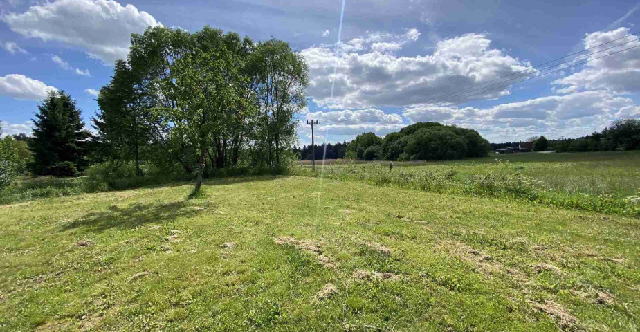 Dražba pozemku Stálkov