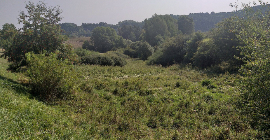 dražba pozemku k.ú. Úterý