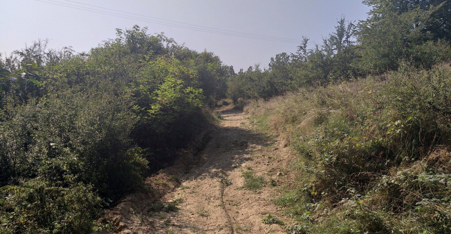 dražba pozemku k.ú. Úterý