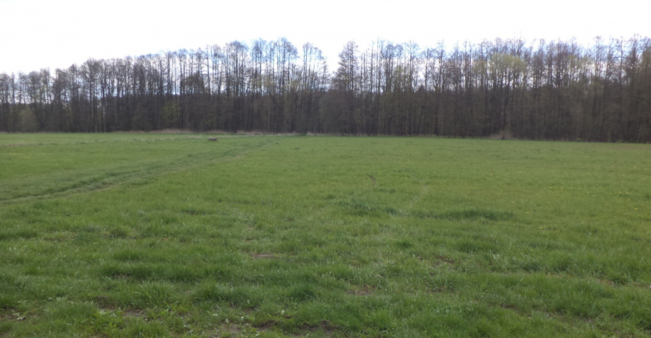 dražba pozemků k.ú. Tachov