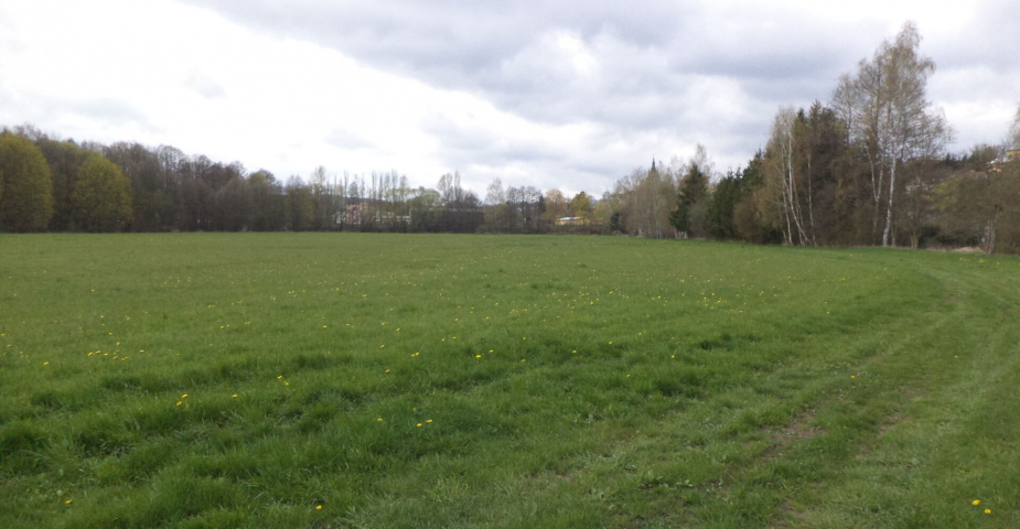 dražba pozemků k.ú. Tachov