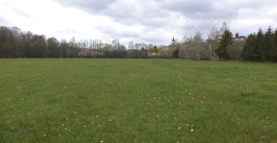 dražba pozemků k.ú. Tachov