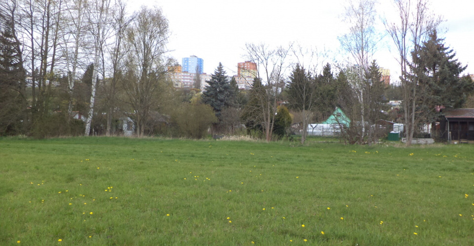 dražba pozemků k.ú. Tachov