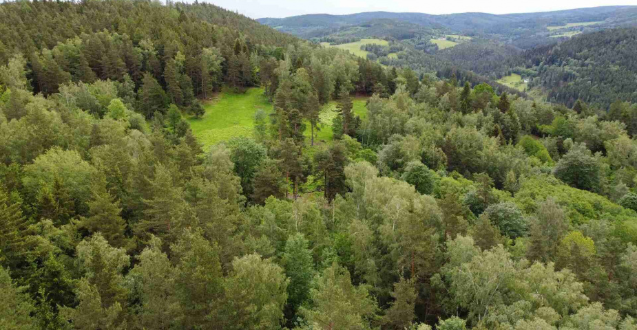 dražba pozemku k.ú. Rejštejn