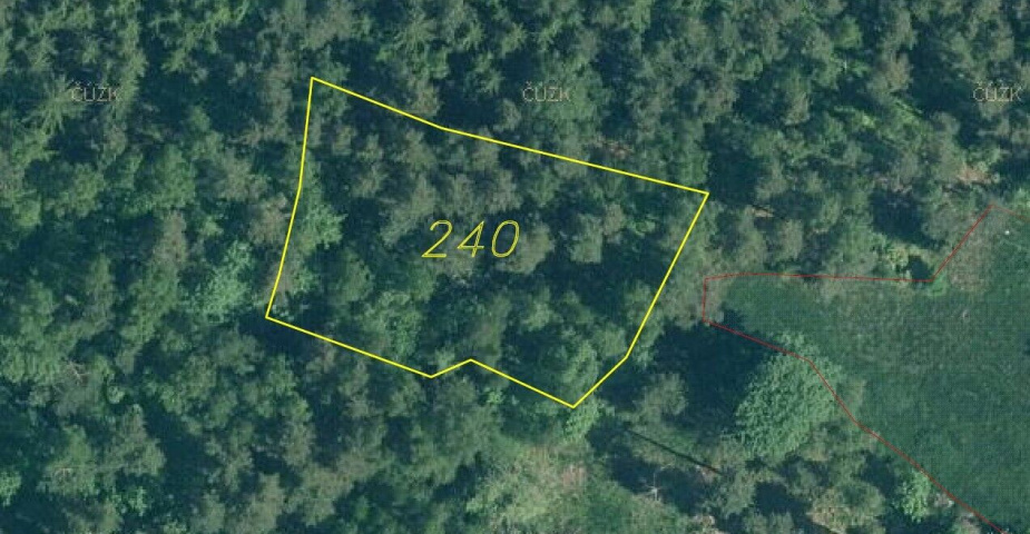 dražba pozemku k.ú. Rejštejn