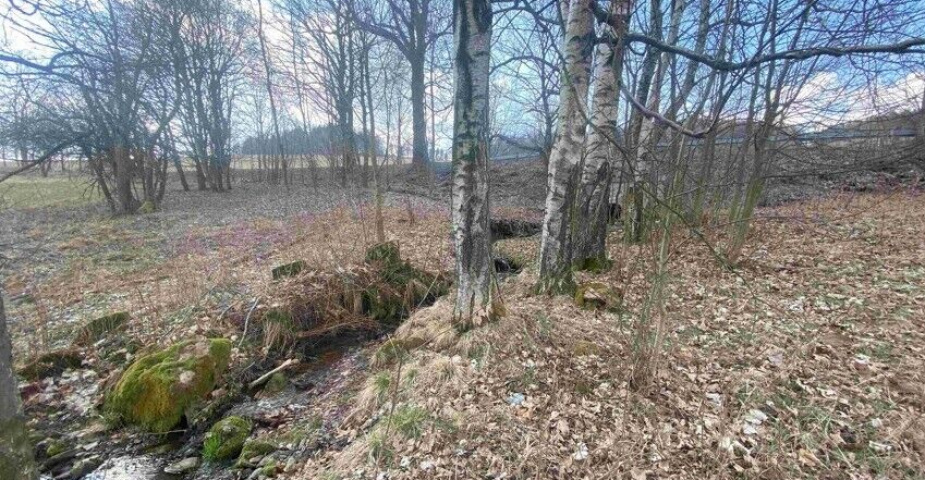 DRAŽBA pozemku Bartošovice v Orlických horách