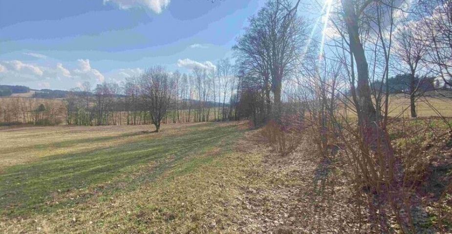 DRAŽBA pozemku Bartošovice v Orlických horách