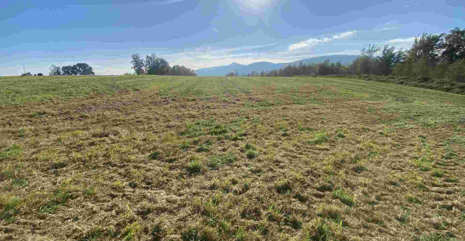 prodej pozemku k.ú. Svárov u Liberce