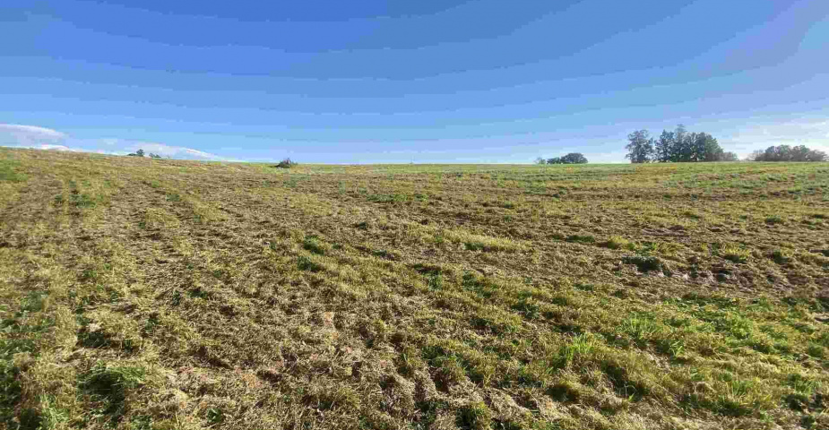 prodej pozemku k.ú. Svárov u Liberce